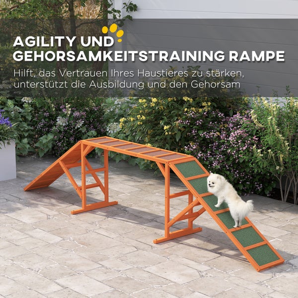 Agility Rampe aus Holz mit Hund zur Gehorsamkeitsausbildung im Garten