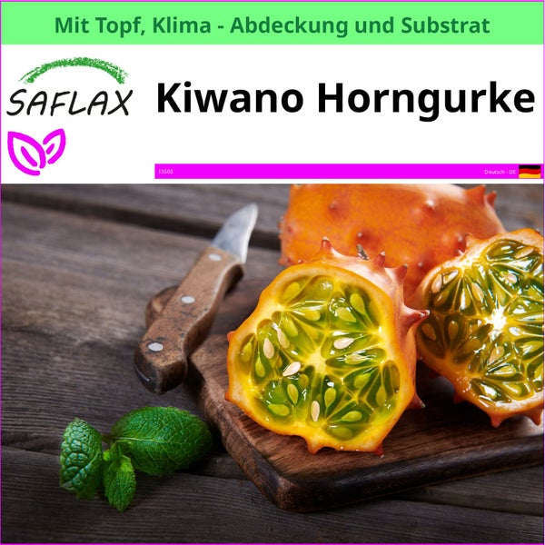Saflax Kiwano Horngurke mit Topf, Klimaabdeckung und Substrat auf einem Holzbrett mit Messer und Minze