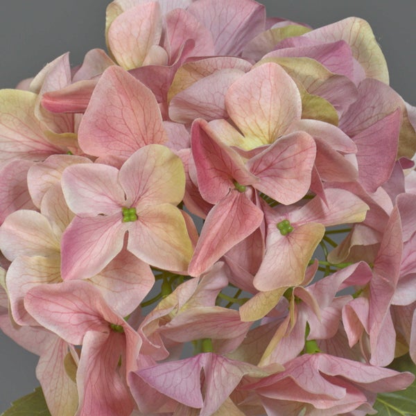 Künstliche Hortensie mit rosa Blüten aus Textilmaterial.