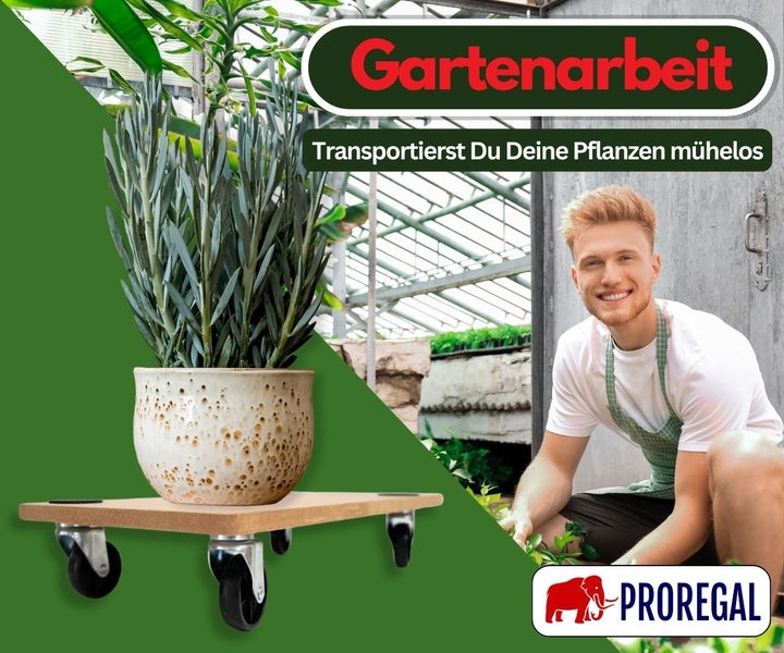 Pflanzenroller aus Holz mit Pflanze im Topf und ein lächelnder Mann in einem Gewächshaus. PROREGAL Logo.