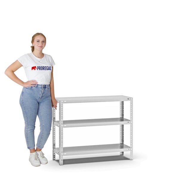 PROREGAL Fachbodenregal Schraubsystem Light-Duty Grundregal HxBxT 80 x 100 x 30 cm 3 Ebenen Fachlast 125 kg Beidseitig Nutzbar Lichtgrau