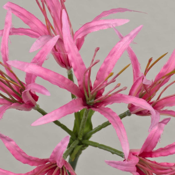 Künstliche Blume Nerine in Rosa mit mehreren Blüten und grünen Stielen.