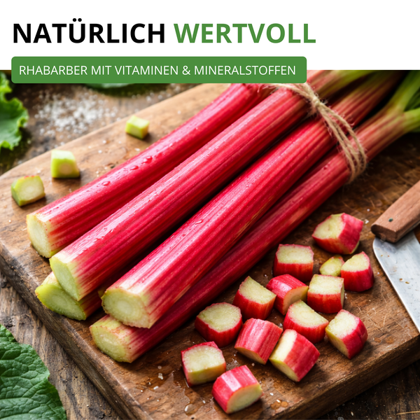Frische Rhabarberstangen und -stücke auf einem Holzbrett mit Hinweis auf Vitamine und Mineralstoffe.