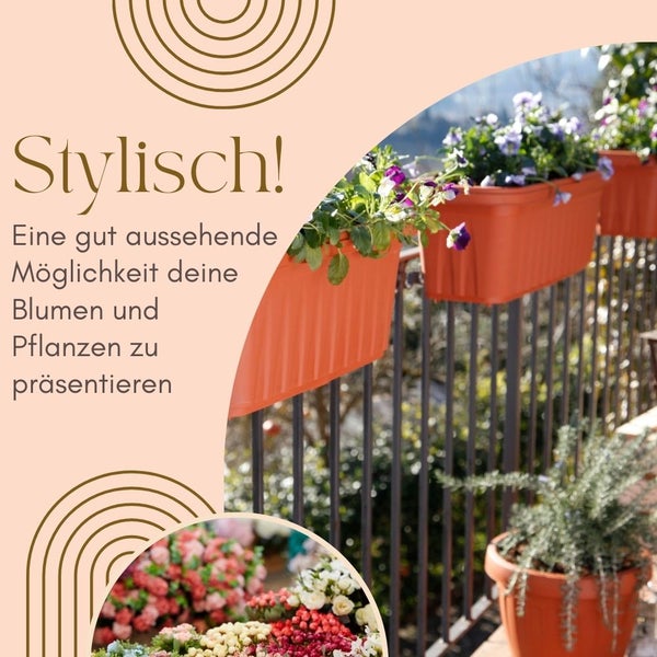 Szene mit Blumenkästen und verschiedenen Pflanzen.
