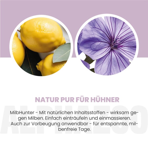 Produktbild mit Zitronen und einer lila Blüte zur Milbenbekämpfung bei Hühnern.