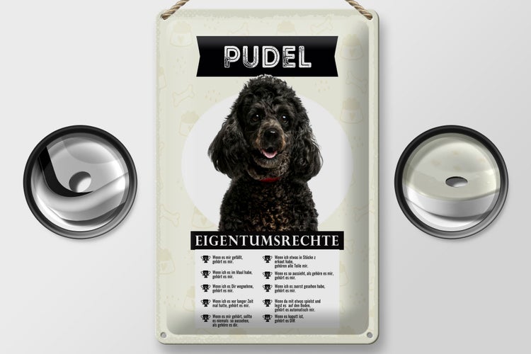 Blechschild Spruch 20x30cm Pudel Eigentumsrechte