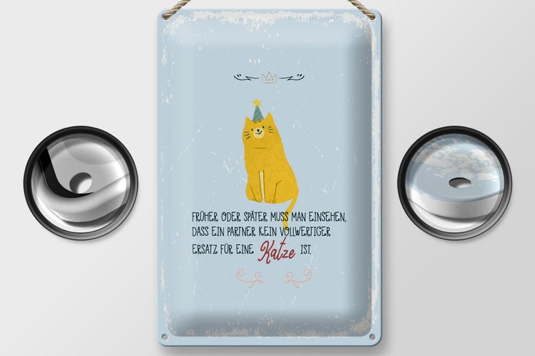 Blechschild Spruch kein Ersatz für eine Katze 20x30cm