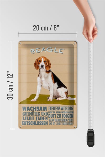 Blechschild Spruch 20x30cm Beagle Hund gutmütig liebt jeden