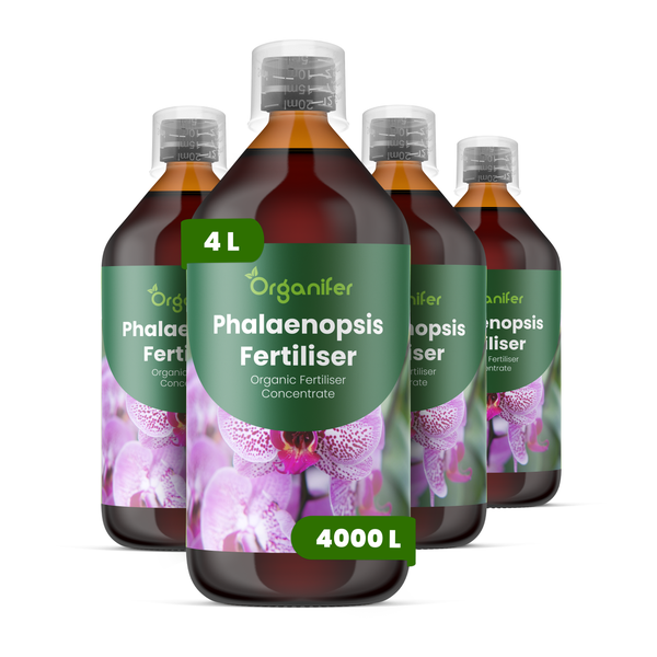 Vier Flaschen Organifer Phalaenopsis Bio-Orchideendünger-Konzentrat, insgesamt 4 Liter für 4000 Liter Dünger.