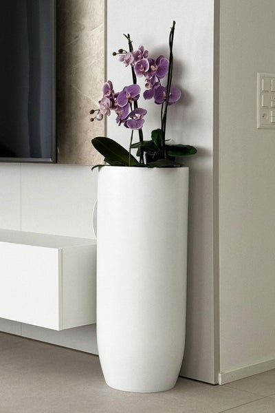Hohes, zylindrisches Pflanzgefäß mit einer Orchidee in einem modern eingerichteten Wohnbereich.