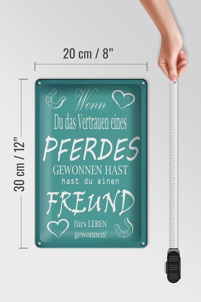 Blechschild Spruch 20x30cm Wenn du Vertrauen eines Pferd