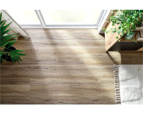 Boden mit Holzdekor, Zimmerpflanzen und Teppich