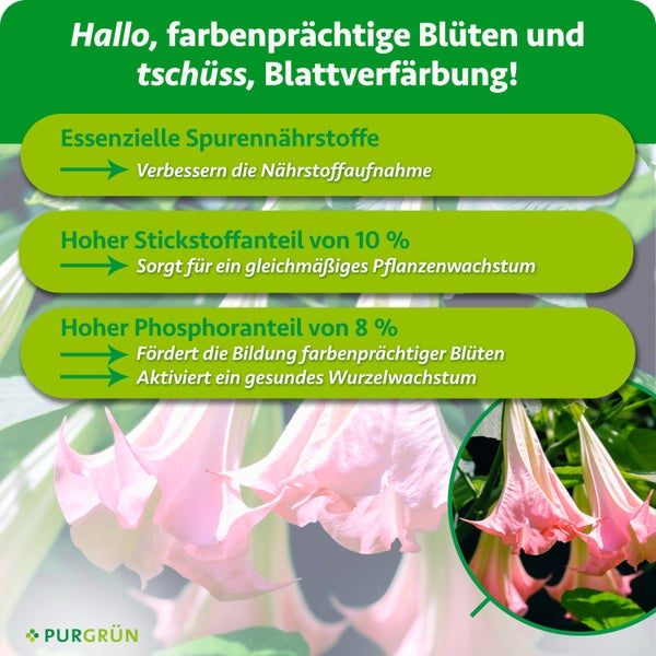 Infografik zum Purgruen Pflanzenduenger mit Informationen zu Spurennahhrstoffen, Stickstoff und Phosphor fuer Bluetenbildung und Pflanzenwachstum.