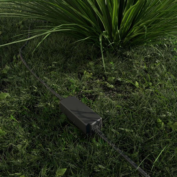 Schwarzes Außen-Netzteil mit Kabel auf grünem Rasen neben einer Gartenpflanze.
