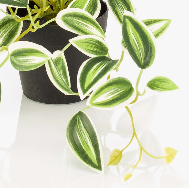 Künstliche Pflanze mit grün-weiß gestreiften Blättern in einem schwarzen Topf.