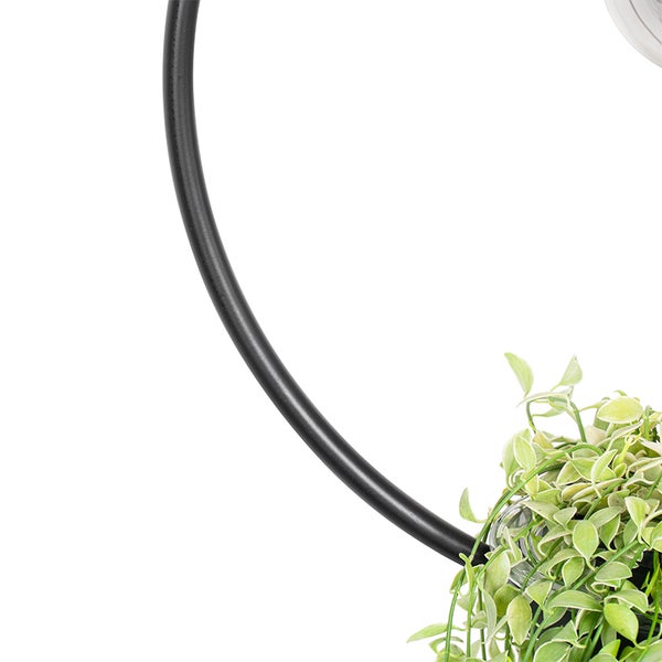 Hängepflanze mit Dekoring