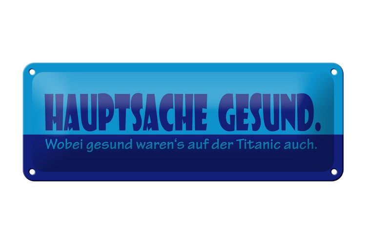 Blechschild Spruch 27x10cm Hauptsache gesund Dekoration