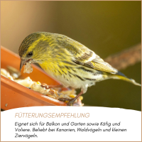 Erlenzeisig frisst an einer Futterstelle mit Fütterungsempfehlung für Kanarien, Waldvögel und kleine Ziervögel für Balkon, Garten und Voliere.