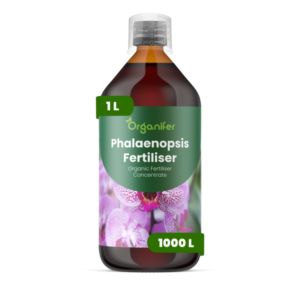 Organifer Phalaenopsis Dünger, organisches Düngerkonzentrat, 1 Liter Flasche für Orchideen.