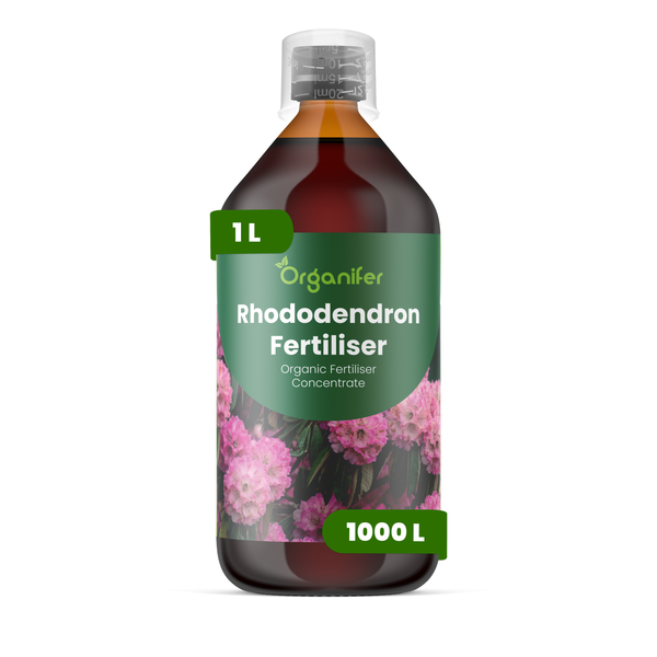 Organifer Logo, Rhododendrondünger, organisches Flüssigdüngerkonzentrat, 1 Liter Flasche für 1000 Liter Gießwasser.