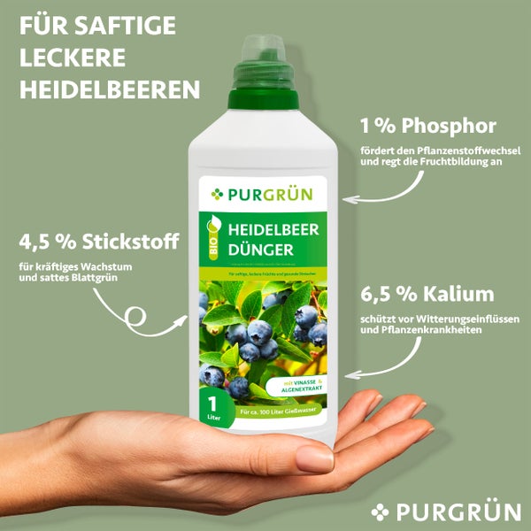 Purgrün Bio-Heidelbeerdünger 1 Liter