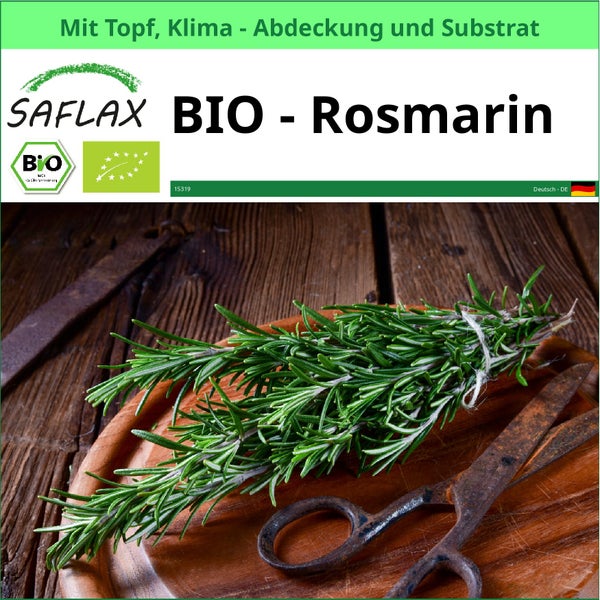 Saflax Bio Rosmarin Set mit Topf, Klimaabdeckung und Substrat