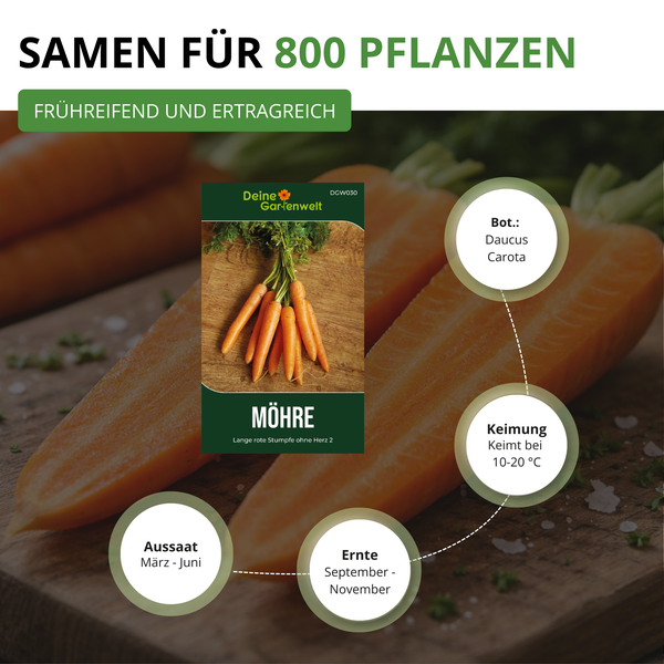Samen für circa 800 Pflanzen der Möhre Lange rote Stumpfe ohne Herz 2 von Deine Gartenwelt. Informationen zu Aussaat, Ernte und Keimung.