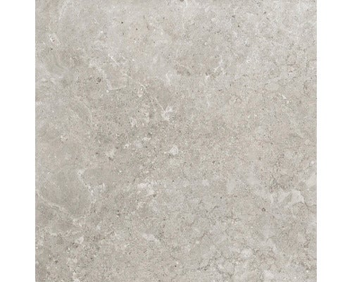 Wand- und Bodenfliese Jurassic grigio 60x60 cm