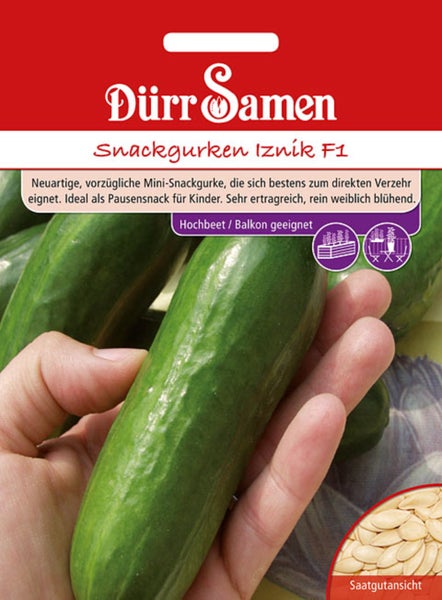 Snackgurke Iznik F1 Samen von Dürr Samen