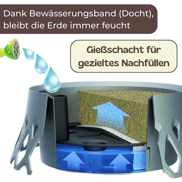 Bildliche Darstellung eines Bewässerungssystems für Pflanzen