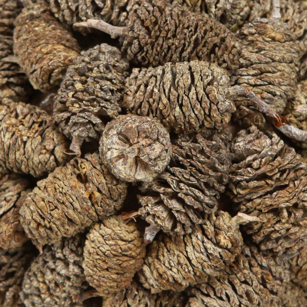 Eine Ansammlung von getrockneten Erlenzapfen als Dekoration für florale Arrangements.