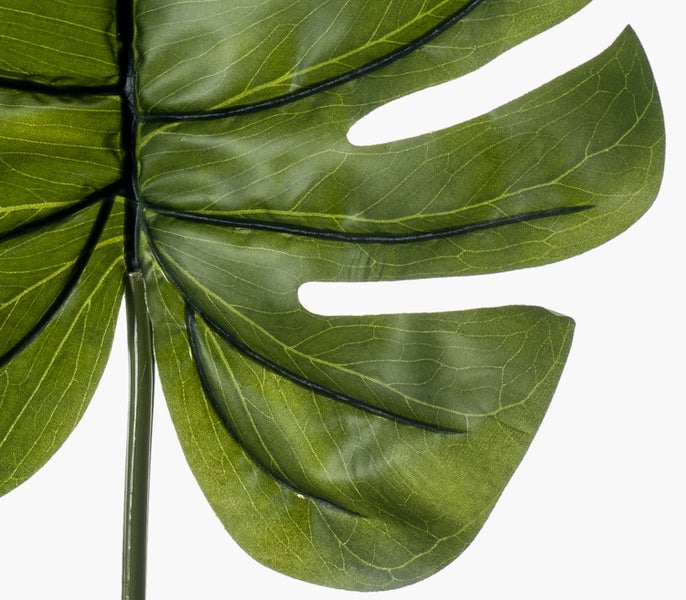 Künstlicher Bogenhanf Sansevieria mit gelbgrünen Blättern im schwarzen Kunststofftopf.