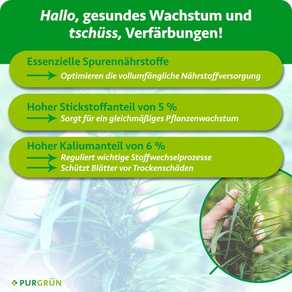Anleitung für PURGRÜN Flüssigdünger: 5 Milliliter abmessen, mit 4 bis 8 Liter Wasser mischen, 1 bis 3 Mal pro Woche. PURGRÜN Logo.