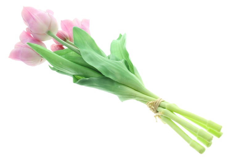 FRANK FLECHTWAREN|Tulpe Lila, 5er Set, Höhe 34 cm , KUNSTSTOFF, PAPIERSCHNUR