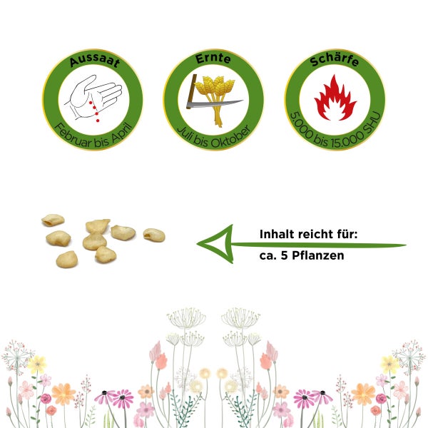 Chili Ciliegia piccante Samen von Deine Gartenwelt