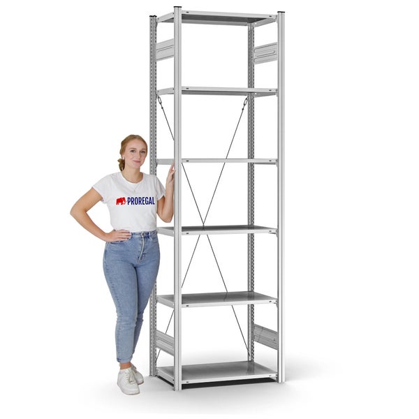 PROREGAL Profi Lagerregal Stecksystem T-Profil Grundregal HxBxT 250 x 75 x 40 cm Fachlast 125 kg Verzinkt