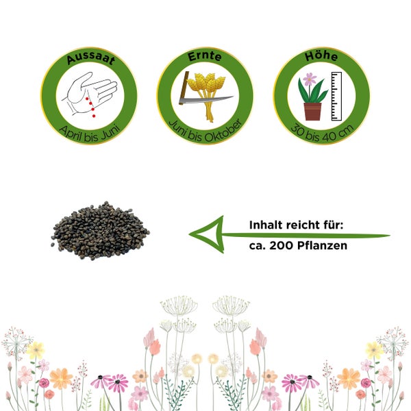 Aussaat von April bis Juni, Ernte von Juni bis Oktober, Höhe 30 bis 40 Zentimeter. Inhalt reicht für circa 200 Pflanzen.