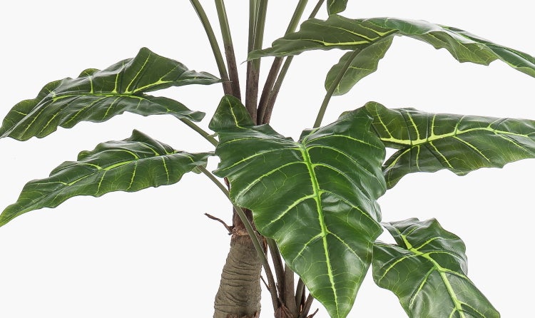 Künstliche Alocasia mit großen grünen Blättern und hellen Blattadern.