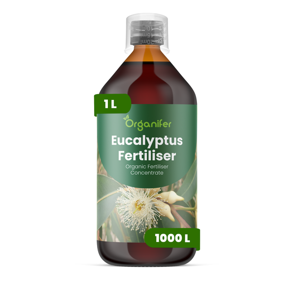 Organifer Eucalyptus-Dünger, 1 Liter organisches Düngerkonzentrat für Eukalyptus-Pflanzen, ausreichend für 1000 Liter.