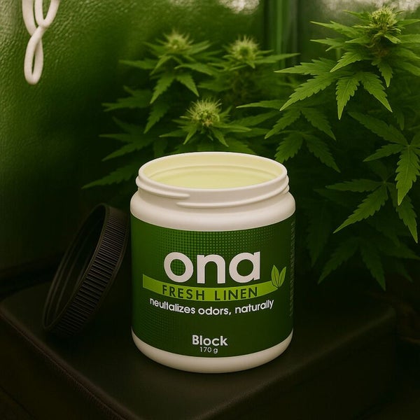 Ona Geruchsneutralisierer Frische Wäsche Block 170 Gramm