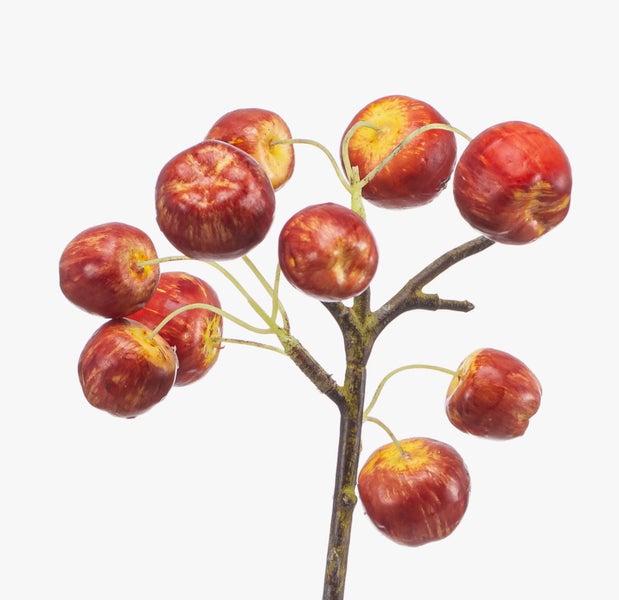 Künstlicher Zierapfelzweig mit kleinen roten und gelben Früchten an einem dunklen Ast.