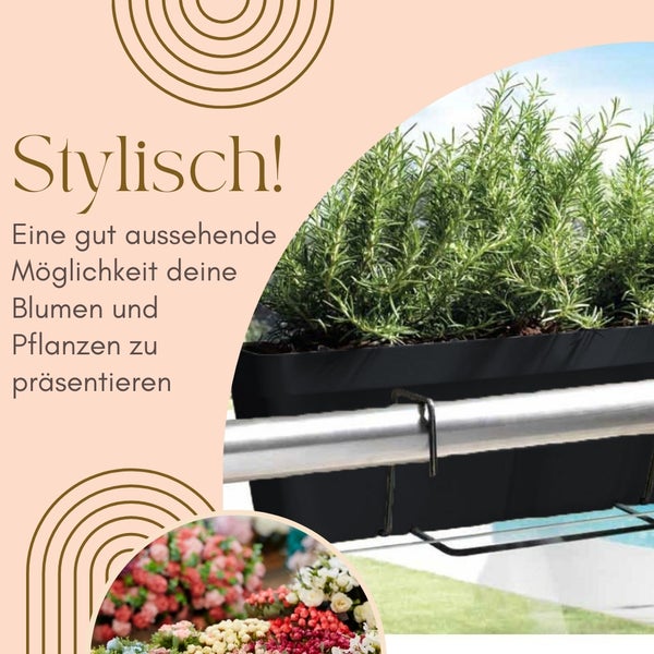 Blumenkasten zur Präsentation von Blumen und Pflanzen