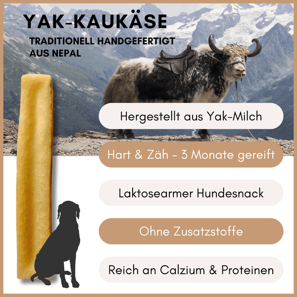 Yakkäse Hundesnack, traditionell hergestellt aus Yakmilch in Nepal, hart und zäh, laktosearm, ohne Zusatzstoffe, reich an Calcium und Proteinen.