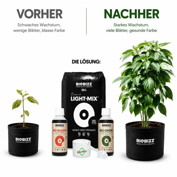 Vorher-Nachher-Vergleich des Pflanzenwachstums mit Biobizz Light-Mix Erde 50 Liter, Bio-Bloom und Bio-Grow Dünger. Biobizz Logo.