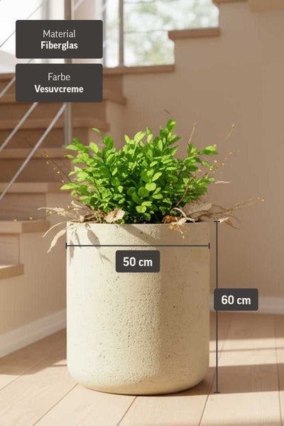 Pflanzkübel aus Fiberglas in Vesuvcreme, Durchmesser 50 Zentimeter, Höhe 60 Zentimeter, mit einer grünen Pflanze in einem hellen Raum.