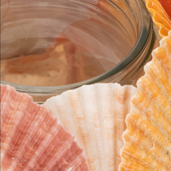 Nahaufnahme von dekorativen Muscheln arrangiert um ein leeres Glasgefäß als Dekorationselement.