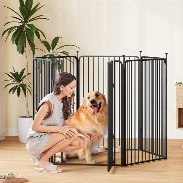 Eine Frau kniet vor einem schwarzen Metall-Hundegitter, in dem ein Golden Retriever sitzt.