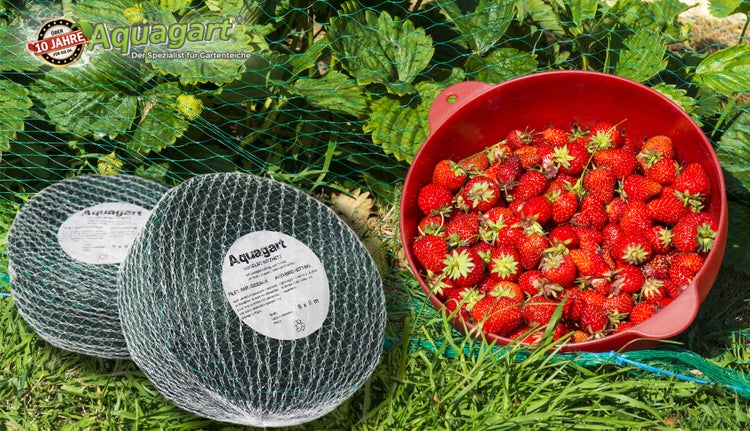 Vogelschutznetz 8m x 8m Obstbaumnetz Gemüsenetz
