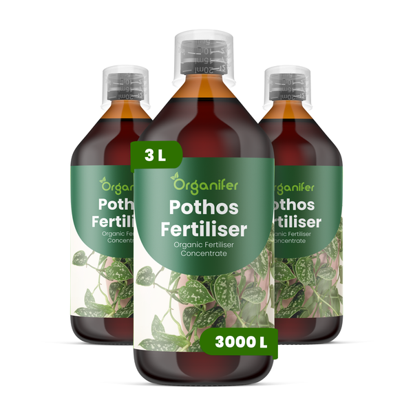Drei Flaschen Organifer Pothos Dünger, organisches Konzentrat, 3 Liter für 3000 Liter Gießwasser.