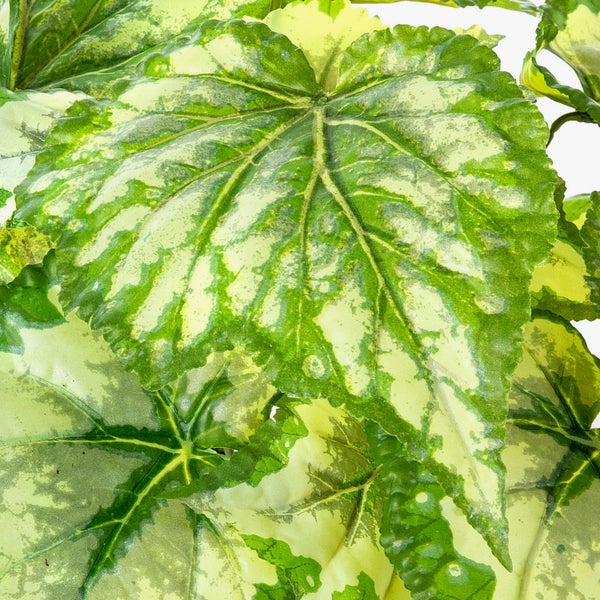 Künstliche Ficus Benjamina Pflanze mit weiß-grünen Blättern und Echtholzstamm im schwarzen Kunststofftopf.